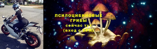 стаф Магадан