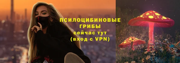 дурь Майский
