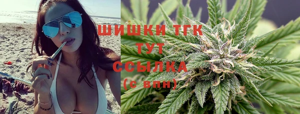 стаф Магадан