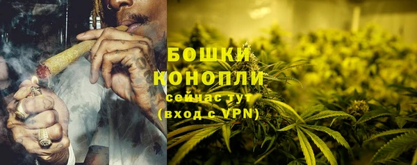 индика Великий Новгород