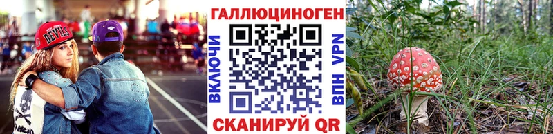Псилоцибиновые грибы Psilocybe  Энем 