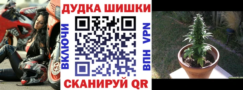 блэк спрут   Энем  МАРИХУАНА Amnesia 